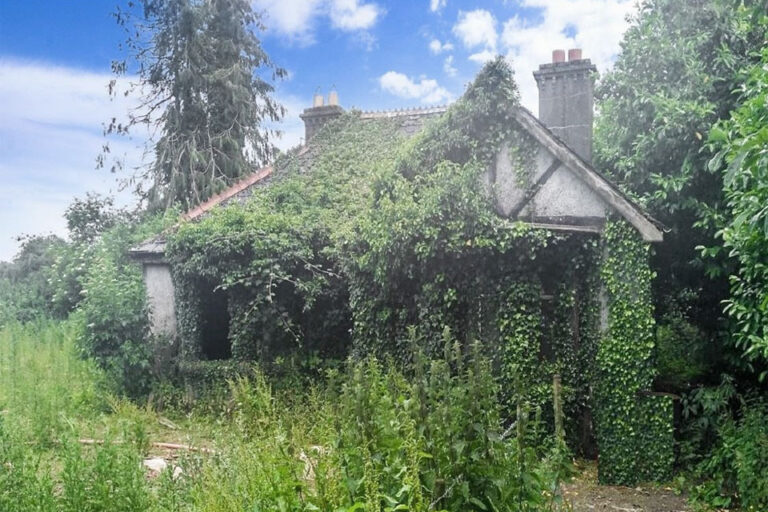 Derelict Cottage For Sale: Sandymount, Templemore, Co. Tipperary ...