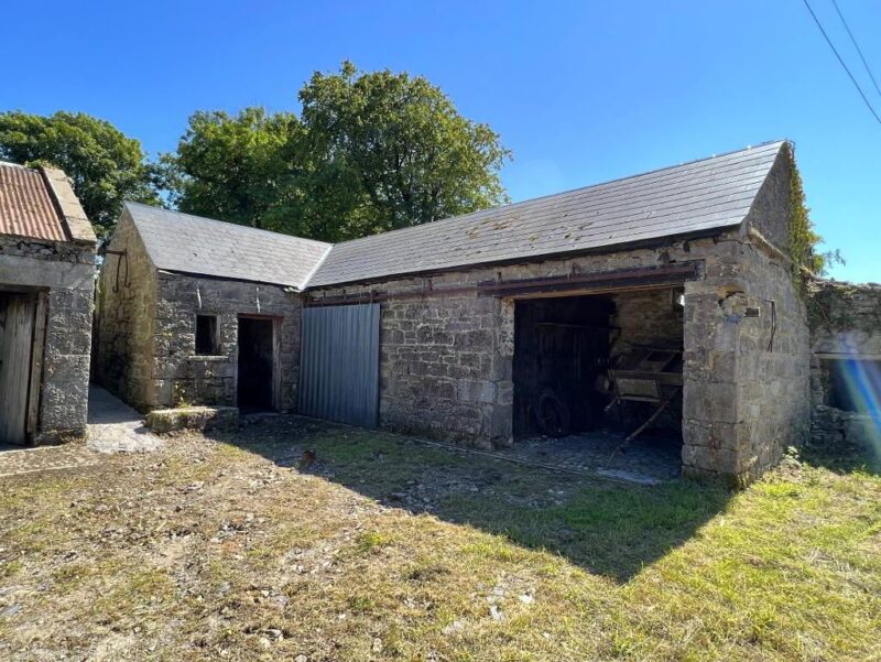 19th Century Home For Sale: Tinny Park House, Co. Roscommon