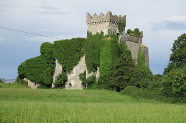 Medieval Castles of Ireland - Mike Salter